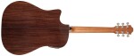Furch Green Dc-SR Master's Choice CNR Active