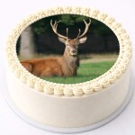 Obrázek Jedlý papír Jelen