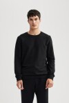 DEFACTO Regular Fit Crew Neck Basic Sweatshirt