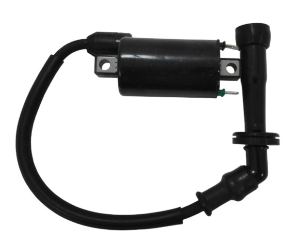 Access-Motor Originální indukční cívka na Access Warrior 450