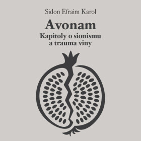 Avonam: Kapitoly o sionismu a trauma viny - Karol Efraim Sidon - audiokniha