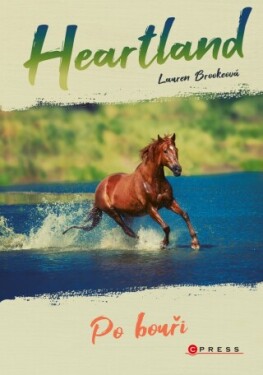 Heartland: Po bouři - Lauren Brookeová - e-kniha