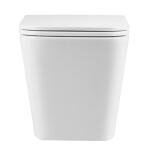 GEBERIT DuofixBasic s matným tlačítkem DELTA21 + WC INVENA FLORINA WITH SOFT, včetně soft/close sedátka 458.103.00.1 21MA FL1