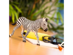 Safari Ltd. Safari Ltd. Figurka - Zebra