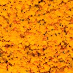 LK Baits Partikl IQ Method Feeder Turbo Mix 1,5kg - Cherry,LK Baits Partikl IQ Method Feeder Turbo Mix 1,5kg - Cherry