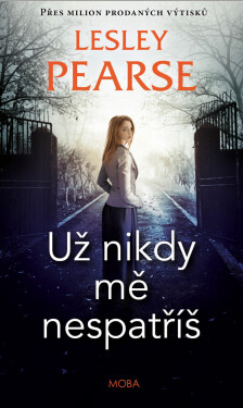 Už nikdy mě nespatříš - Lesley Pearse