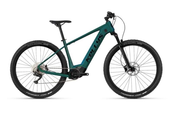 Kellys Tygon R50 P 2025