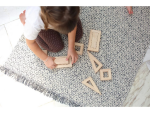 PlanToys PlanToys Duté bloky