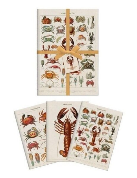 Sada tří notýsků Crustaceans