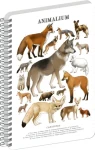 NOTIQUE Animalium – Psovité šelmy / Spirálový blok / A4 / linkovaný