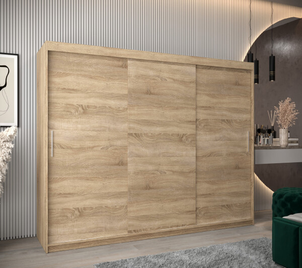 Šatní skříň Abi T0 s posuvnými dveřmi Barva korpusu: Dub Sonoma, Rozměry: 250 cm, Dveře: Dub sonoma