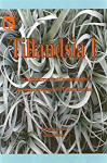 Tillandsia