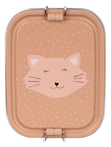 Malý svačinový box pro děti paní kočka