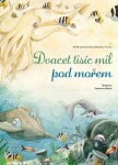 Dvacet tisíc mil pod mořem, 1. vydání - Jules Verne