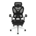 Kancelářská židle, synchronní mechanismus, černá síťovina, KA-B2361 BK