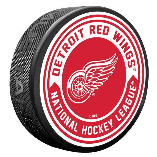 Mustang Puk Detroit Red Wings NHL Arrow