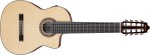 Ibanez GA3008CE NT