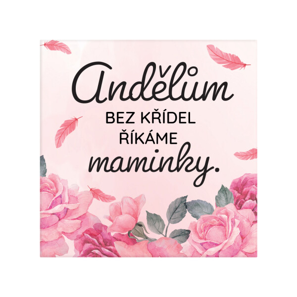 Magnetka - Maminka anděl - Albi