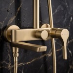 REA - Sprchový set PREMIUM Maxim Brush Gold REA-P7065