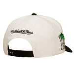 Mitchell & Ness Pánská kšiltovka Los Angeles Lakers NBA In The City Pro Snapback