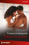 Čekání na pomstu - Yvonne Lindsayová
