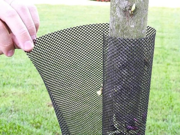 Ochrana kmenů proti okusu zvěří (síť) Flexguard 11 cm, délka cm, ks balení