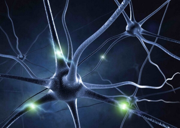 Pohlednice 3D Neuron