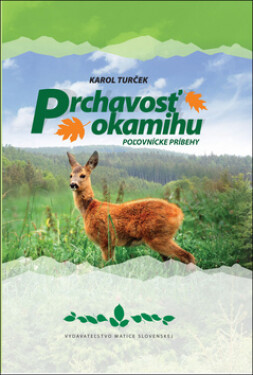 Prchavosť okamihu - Karol Turček