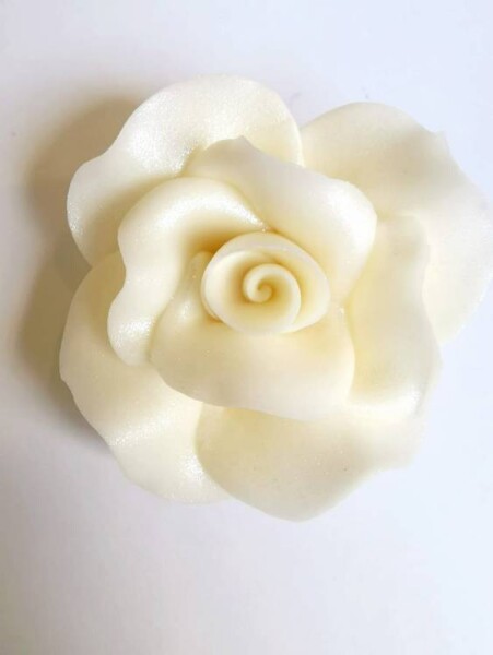 Dortisimo Cukrová růže velká bílá perleťová (9 ks)