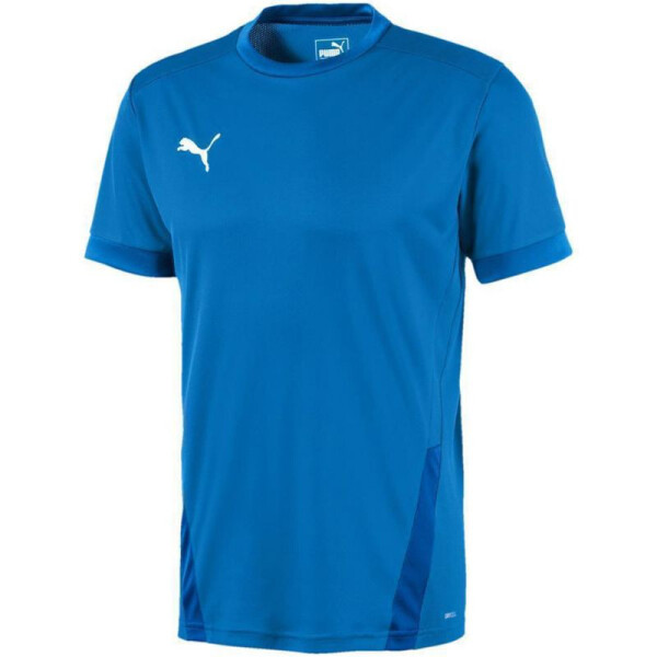 TeamGOAL 23 Jersey 02 Puma