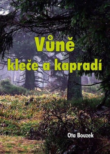 Vůně kleče kapradí