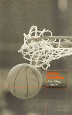 Králíku utíkej ! - John Updike