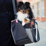 Elma cestovní taška pro psa | do 4 Kg Barva: Černá, Dle váhy psa: do 4 kg 40 x 18 cm, 47 x 19 cm