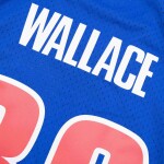 Mitchell & Ness Pánský dres Detroit Pistons NBA Rasheed Wallace #30 2003-04 Swingman Velikost: S