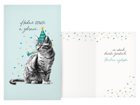 Přání k narozeninám kočka Přání k narozeninám kočka
