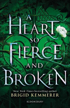 A Heart So Fierce and Broken - Brigid Kemmerer