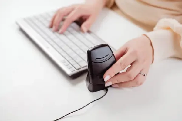 BakkerElkhuizen DXT 3 černá / Ergonomická myš / RF Wireless / 2400 DPI / 7 tlačítek / pro praváky i leváky (BNEDXT3W)