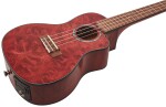 Lanikai QM-RDCEC