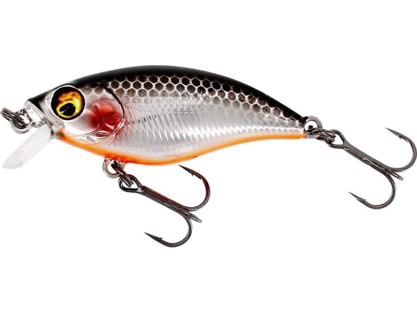 Westin Wobler BuzzBite SR Crankbait 4cm 4g Plovoucí - Steel Sardine,Westin Wobler BuzzBite SR Crankbait 4cm 4g Plovoucí - Steel Sardine