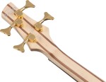 Ibanez SR300EDX FDM