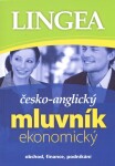 Česko-anglický ekonomický mluvník