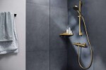 HANSGROHE - Ecostat Fine Termostatická sprchová baterie, kartáčovaný bronz 13324140