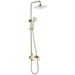 REA - Sprchový set STORM GOLD BRUSH REA-P9536