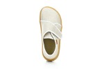 Froddo G1700421-5 Gold Shine