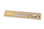 Dřevěné pravítko 20 cm - Včela