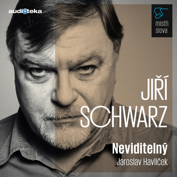 Neviditelný - Mistři slova - Jaroslav Havlíček