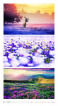 Nástěnný kalendář 2027 Graspo Colours