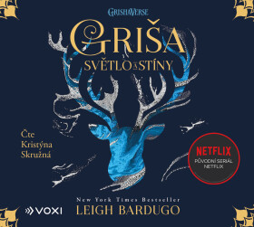 Griša - Světlo a stíny - audiokniha