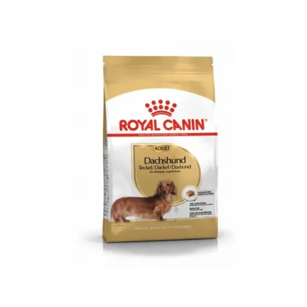 Royal Canin Dachshund Adult 500 g / Kompletní krmivo pro hladkosrsté dlouhosrsté nebo drsnosrsté jezevčíky (3182550717335)