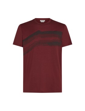 ICEBREAKER Mens Merino 150 Tech Lite SS Tee Getaway, Port velikost: XL